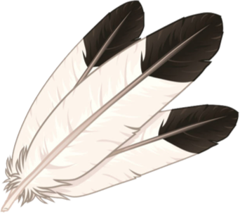 feathers graphic