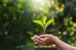 Person holding a plant