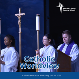 Mark 2: Catholic Worldview