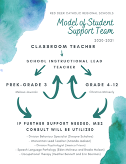Model of Student Support Team